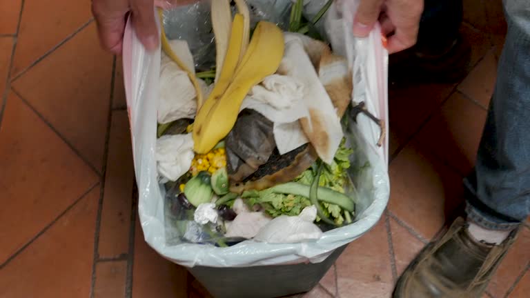 Best Hoarding Cleanup  in Lawton, MI